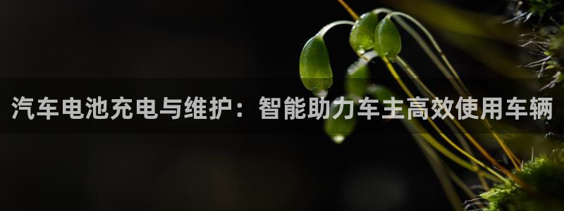 优发国际合并到哪里了啊：汽车电池充电与维护：智能助力车主高效使用车辆