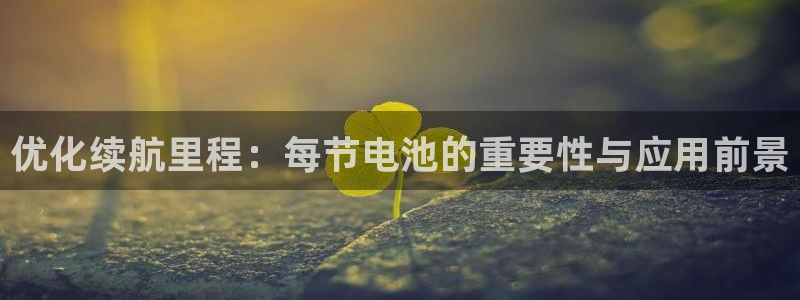 优发国际手机客户端下载安装不了：优化续航里程：每节电池的重要性与应用前景
