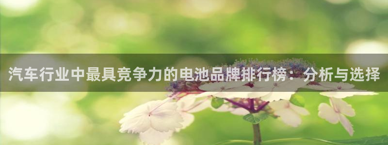 优发国际登录首页官网：汽车行业中最具竞争力的电池品牌排行榜：分析与选择