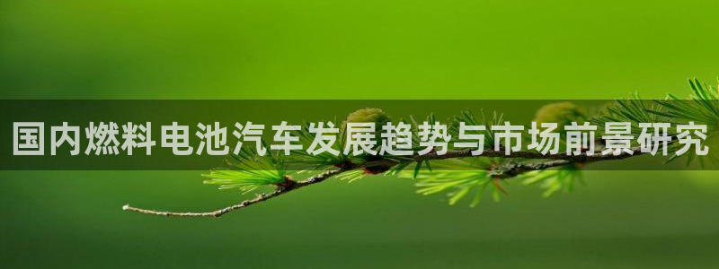 优发国际app官网下载安装苹果：国内燃料电池汽车发展趋势与市场前景研究