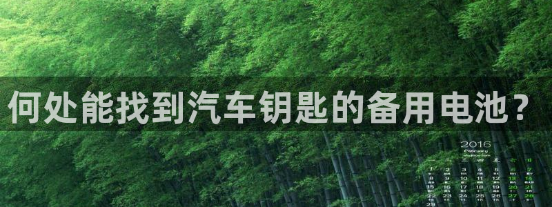 优发国际游戏网站：何处能找到汽车钥匙的备用电池？