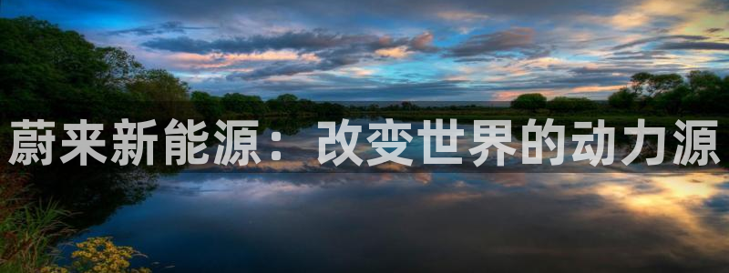 优发国际是大平台吗