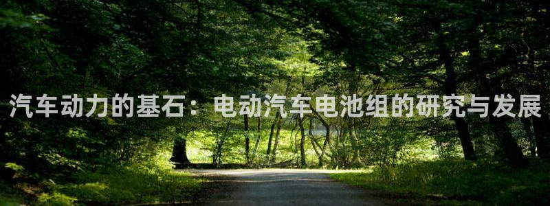 优发国际合并到哪里了啊：汽车动力的基石：电动汽车电池组的研究与发展