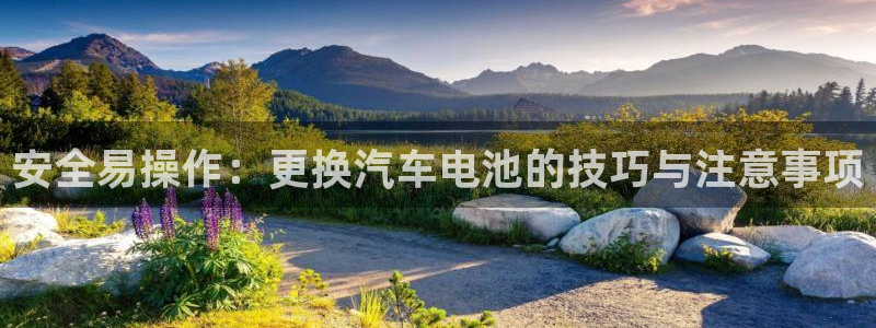 优发国际官网手机版入口：安全易操作：更换汽车电池的技巧与注意事项