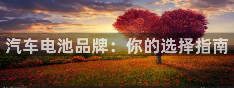 优发国际手机客户端怎么下载：汽车电池品牌：你的选择指南