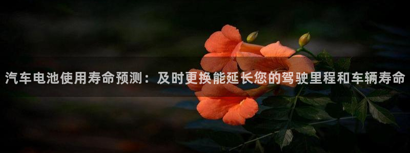 优发国际网站官网：汽车电池使用寿命预测：及时更换能延长您的驾驶里程和车辆寿命