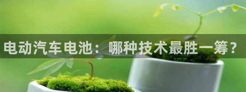 优发国际官网qy88