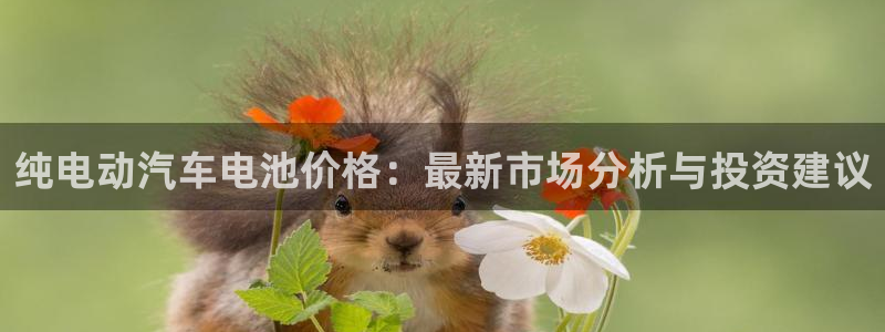 优发国际的官网是正品吗