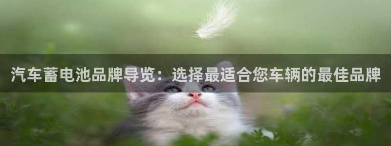 优发国际手机安装登录