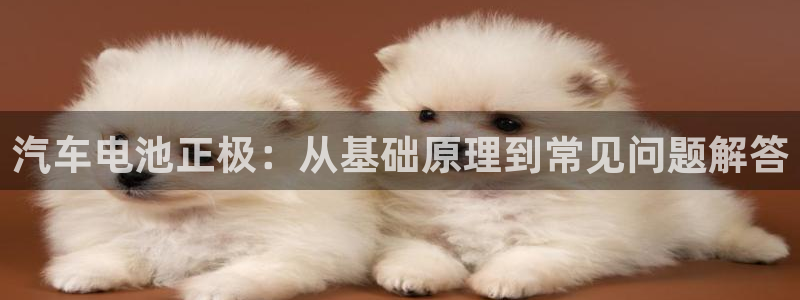 优发国际手机版网站登录