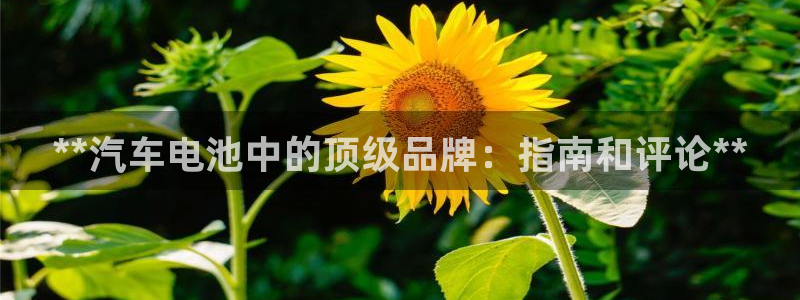 优发国际注册账号