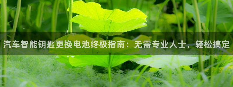 优发国际手机安装登录不了