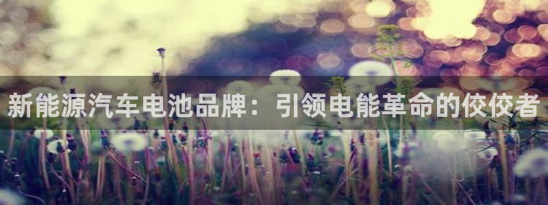 优发国际官网登录