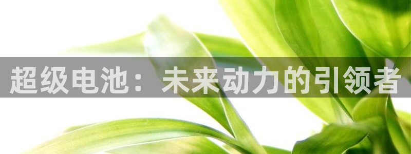 优发国际手机版网站登录