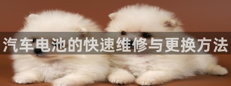 优发国际手机安装登录