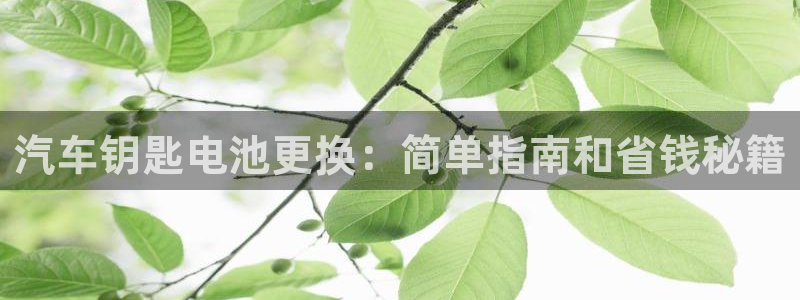 优发国际手机客户端