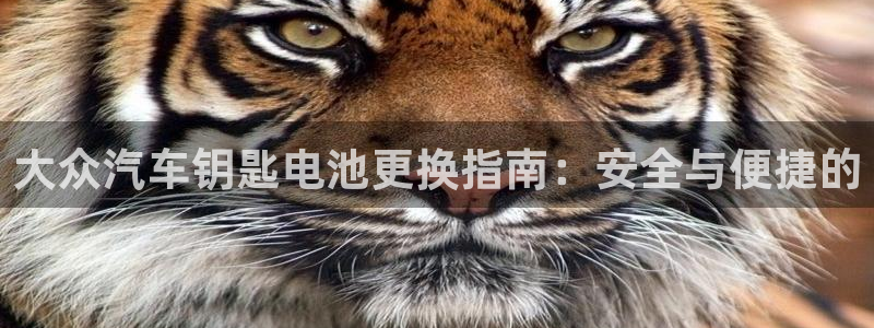 优发国际游戏17岁能玩吗