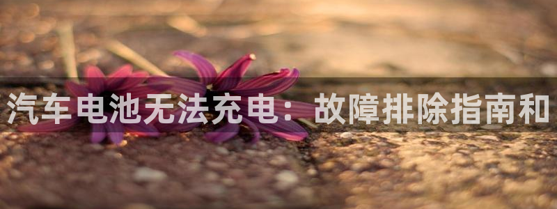 优发国际手机客户端下载不了：汽车电池无法充电：故障排除指南和