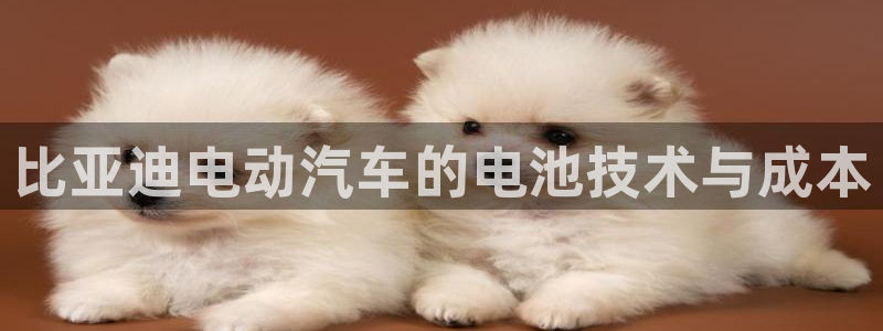 优发国际手机app下载安装官网：比亚迪电动汽车的电池技术与成本