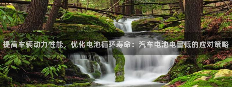 优发国际youfa966