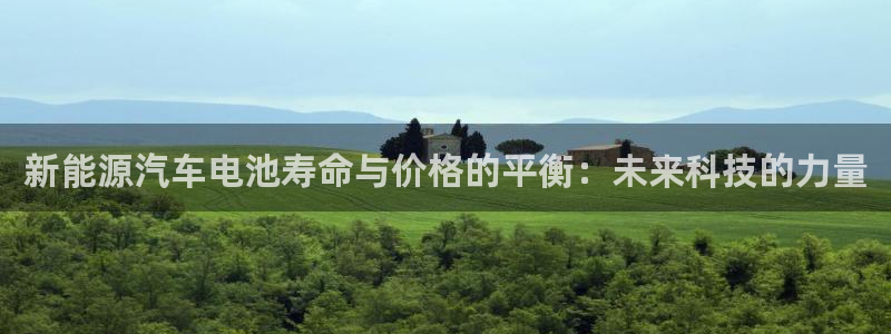 优发娱乐pc版官网：新能源汽车电池寿命与价格的平衡：未来科技的力量