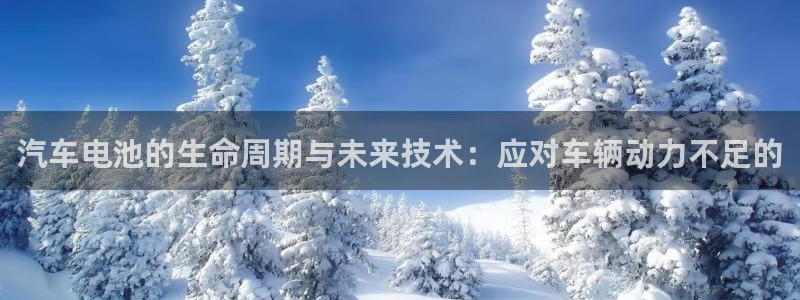 优发国际app官网下载安装手机版：汽车电池的生命周期与未来技术：应对车辆动力不足的