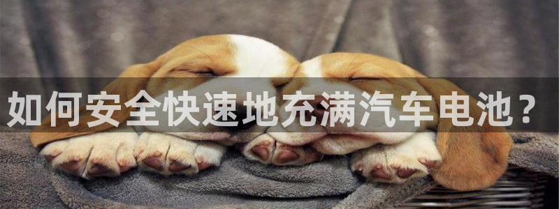 优发国际手机版下载：如何安全快速地充满汽车电池？