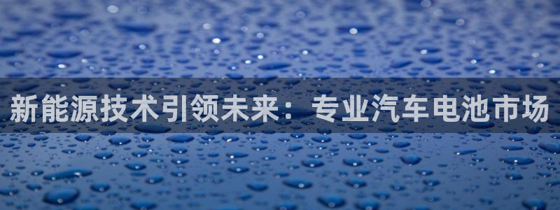优发国际手机登录下载安装：新能源技术引领未来：专业汽车电池市场
