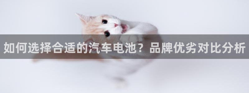 优发国际的官网是：如何选择合适的汽车电池？品牌优劣对比分析